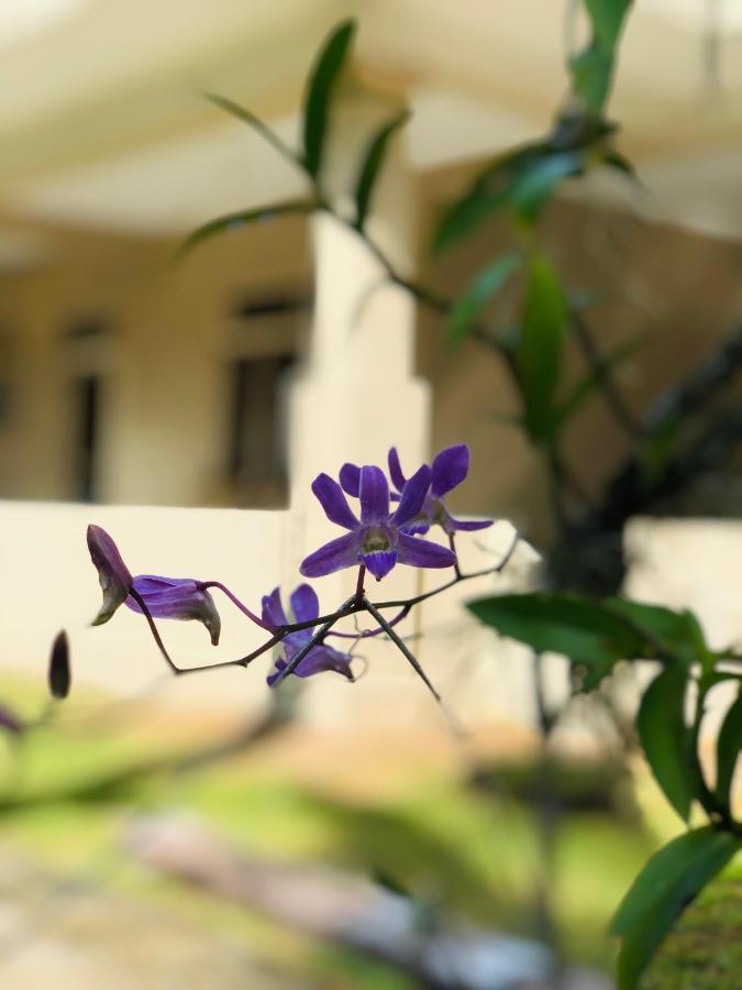 Paradise Garden Beruwala Kültér fotó