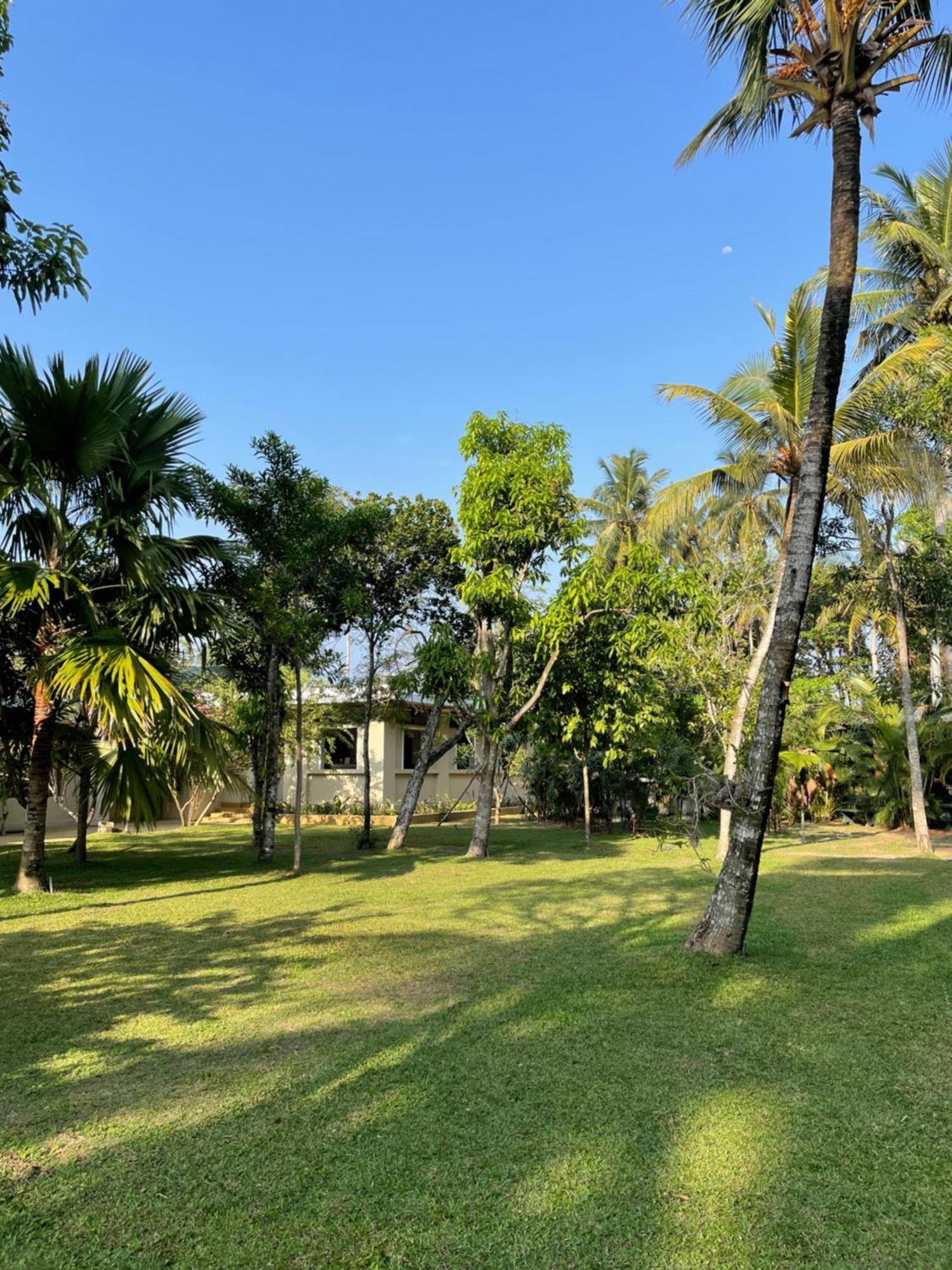 Paradise Garden Beruwala Kültér fotó